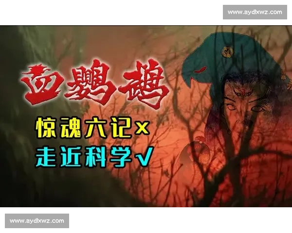 如何通过精准的剧本分析与创意剪辑打造引人入胜的电影解说内容