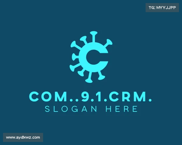 了解com..9.1.crm.入口